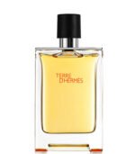 Hermes Terre D Hermes EDT