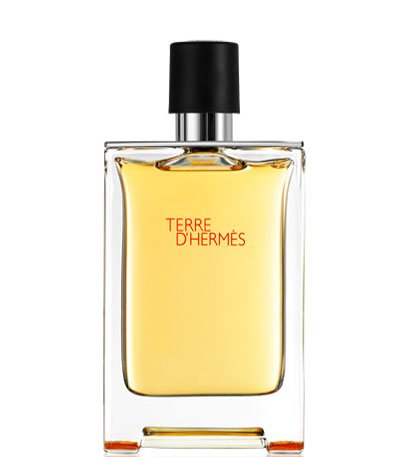 Hermes Terre D Hermes EDT